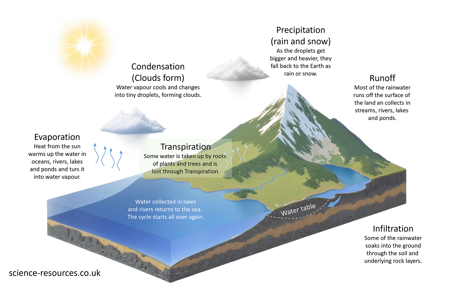 Water cycle This image is a diagram illustrating the water cycle, including processes like evaporation, condensation, precipitation, runoff, and infiltration.