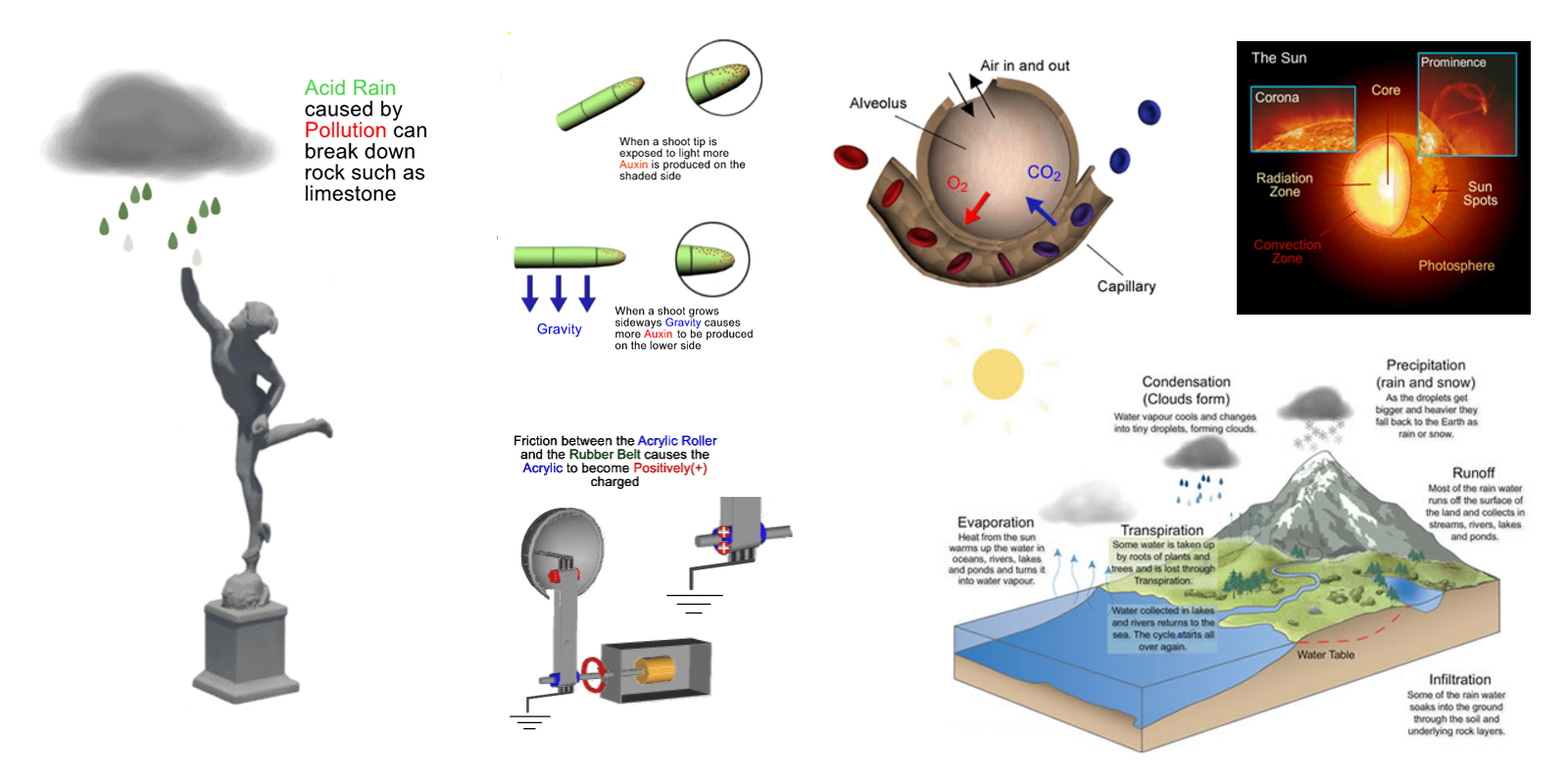 2D and 3D Animations